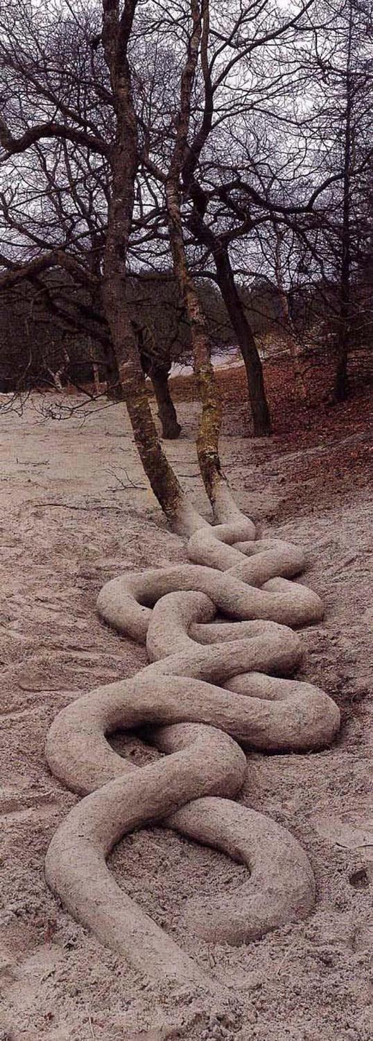 538x1500, 242 Kb / Деревья, ствол, берег, песок, переплелись