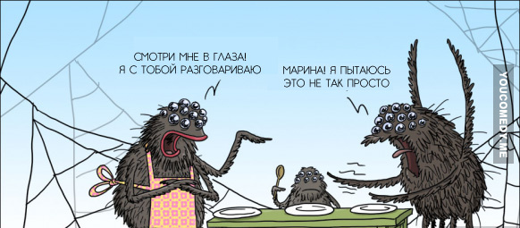 582x255, 95 Kb / паук, глаза