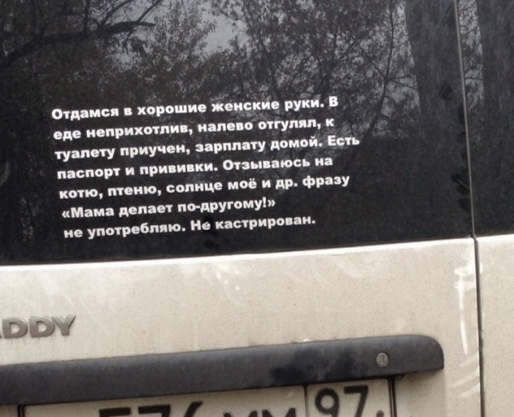 739x600, 132 Kb / Машина, стекло, объявление