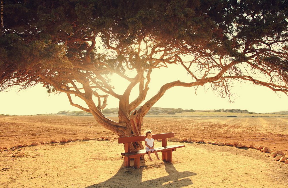 1000x655, 201 Kb / ребенок, дерево, скамейка