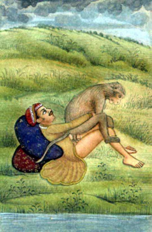 491x750, 107 Kb / индус, обезьяна, луг