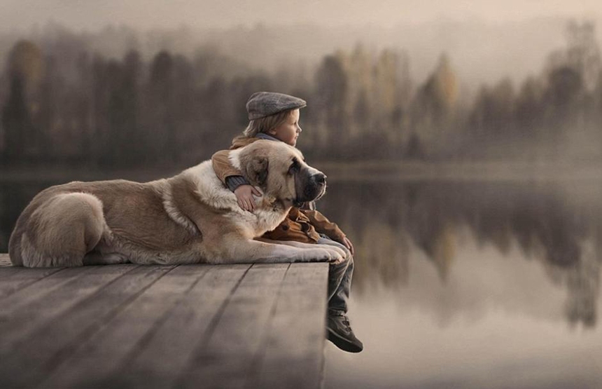 860x555, 180 Kb / Собака, ребёнок, мостки, озеро, вода