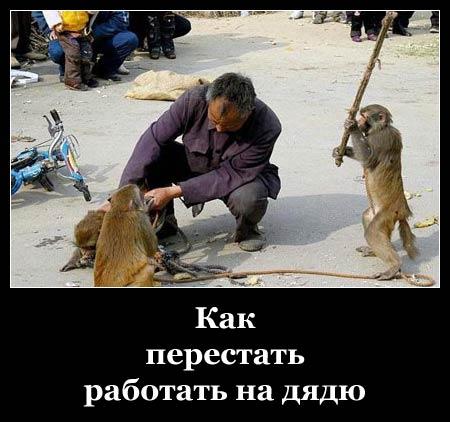 450x422, 35 Kb / обезьяна, палка, дядя