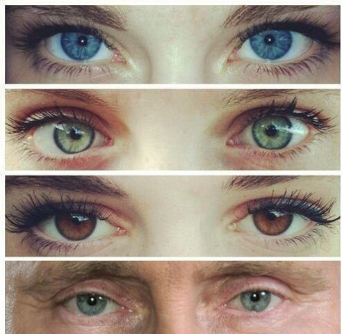 492x480, 47 Kb / глаза, брови, взгляд