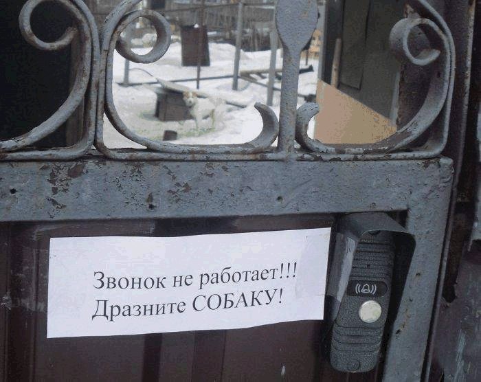 700x556, 74 Kb / звонок, собака