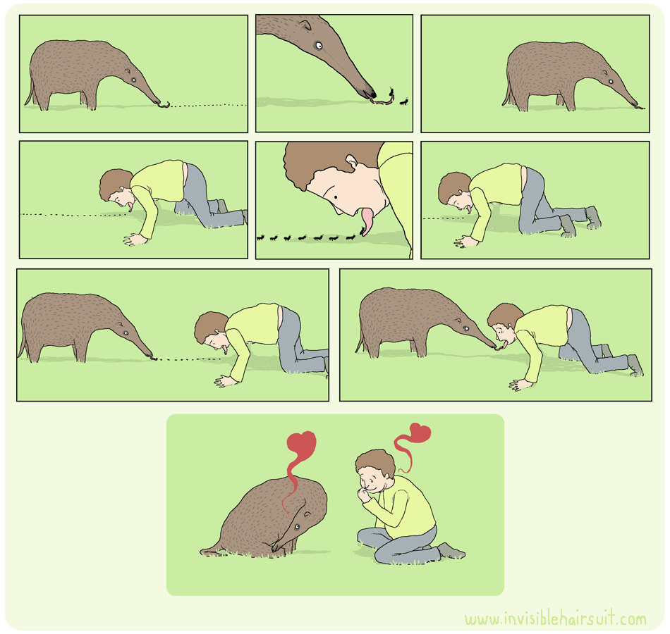 950x900, 157 Kb / муравьед, любовь