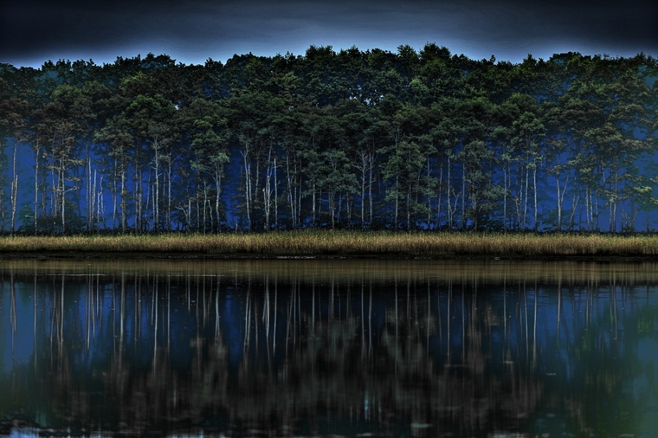 922x614, 208 Kb / туманный лес, Kikorin Naoki