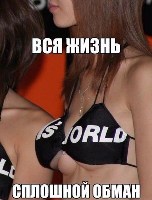 500x655, 46 Kb / пушап, маленькие, жизнь, обман