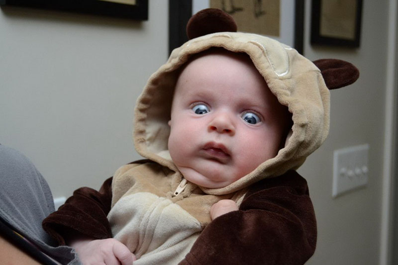 800x533, 62 Kb / ребёнок, взгляд, ушки