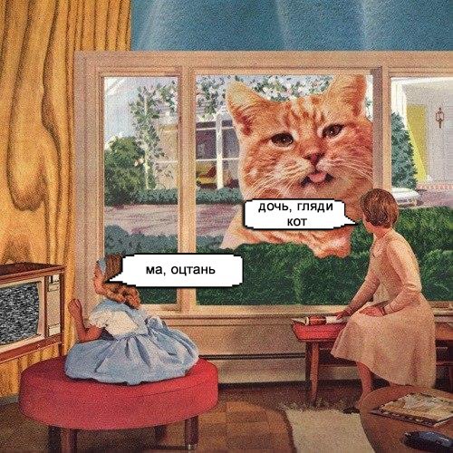 500x500, 88 Kb / кот, окно, мать, дочь, психоделика