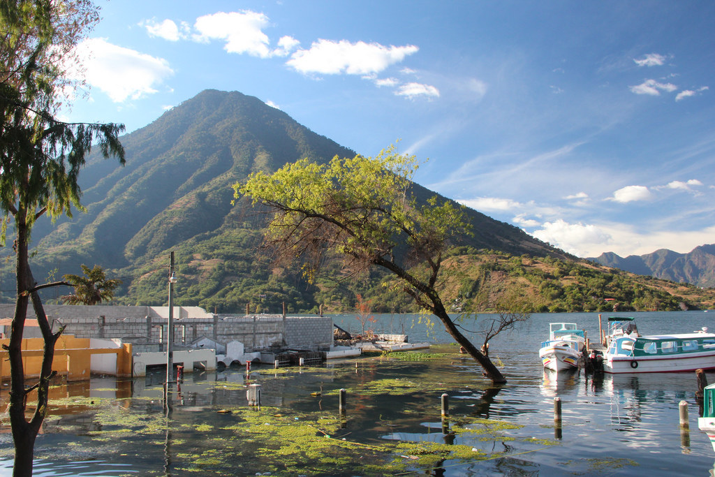 1024x683, 271 Kb / гора, гватемала, катер, дерево, водоросли