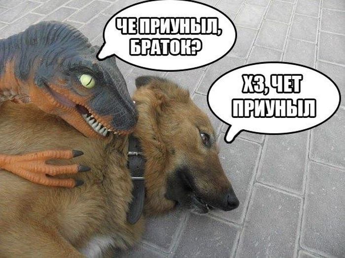 700x525, 75 Kb / браток, приуныл