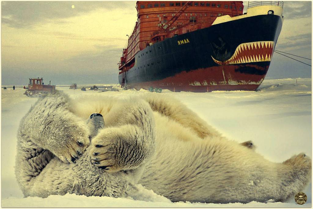 1024x685, 99 Kb / ледокол, медведь, фотожаба