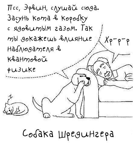 444x489, 51 Kb / шредингер, собака, кот, квантовая физика