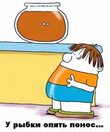 360x432, 21 Kb / аквариум, рыбка, понос, marrirty