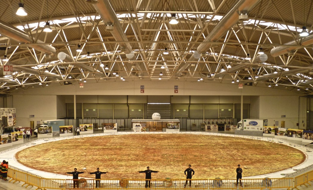 1047x638, 233 Kb / рекорд, пицца