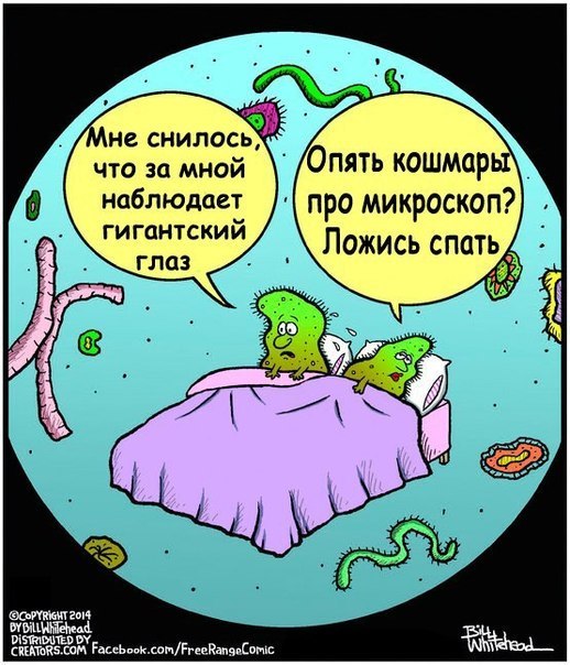 518x604, 83 Kb / микробы, сон, глаз, микроскоп, кошмар