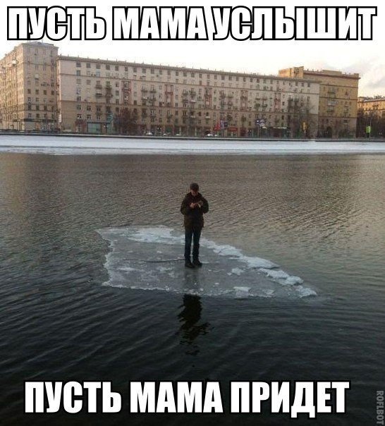 546x604, 78 Kb / льдина, река, мужик, мама, услышит, мамонтенок