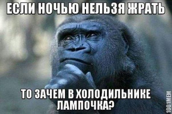 602x400, 43 Kb / обезьяна, холодильник, лампочка