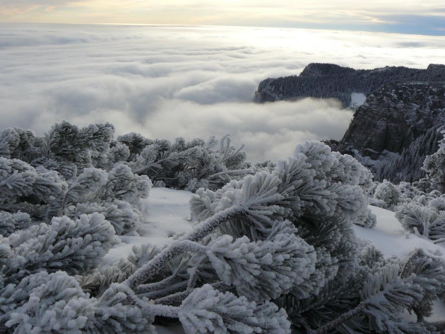 900x675, 89 Kb / туман, горы, облака, иней, снег