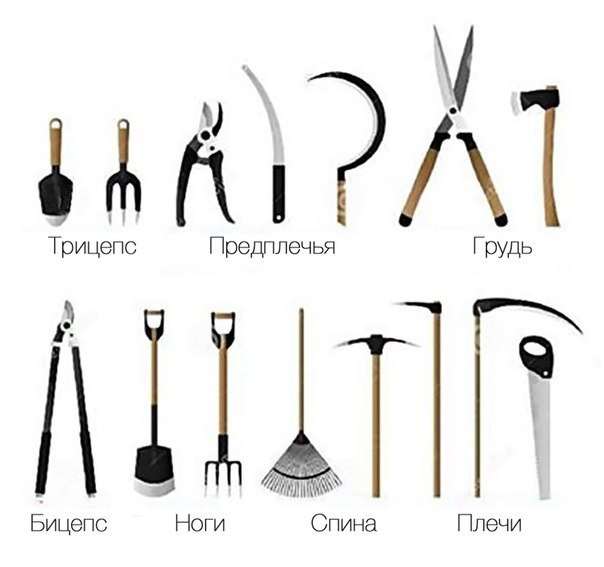 604x567, 51 Kb / Тренажёры, инструмент, садовый