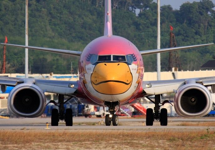 690x482, 59 Kb / Самолёт, птица