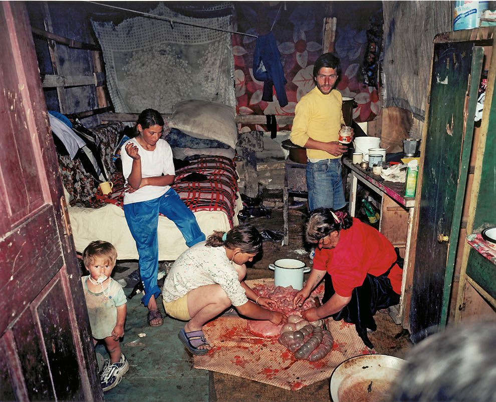 990x803, 221 Kb / студия, семья, кишки