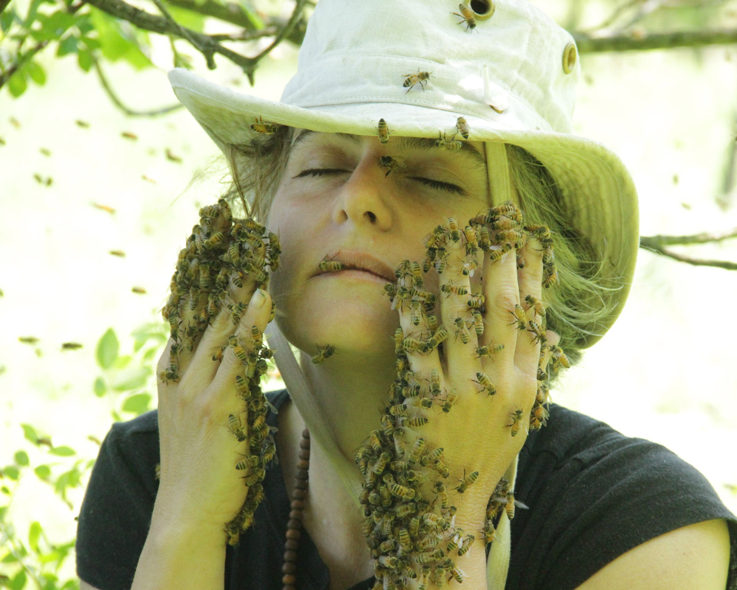 1500x1200, 332 Kb / пчёлы, пчеловод, нега