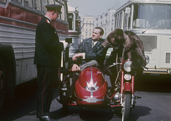 596x421, 107 Kb / Медведь, мотоцикл, Филатов, милиционер