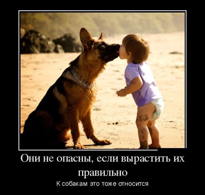 700x665, 60 Kb / демотиватор, собака, ребенок