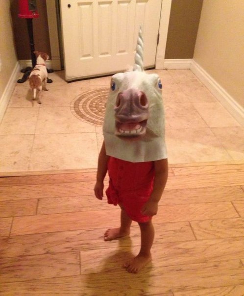 498x604, 54 Kb / косплей, единорог, ребенок