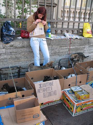 360x480, 48 Kb / животные