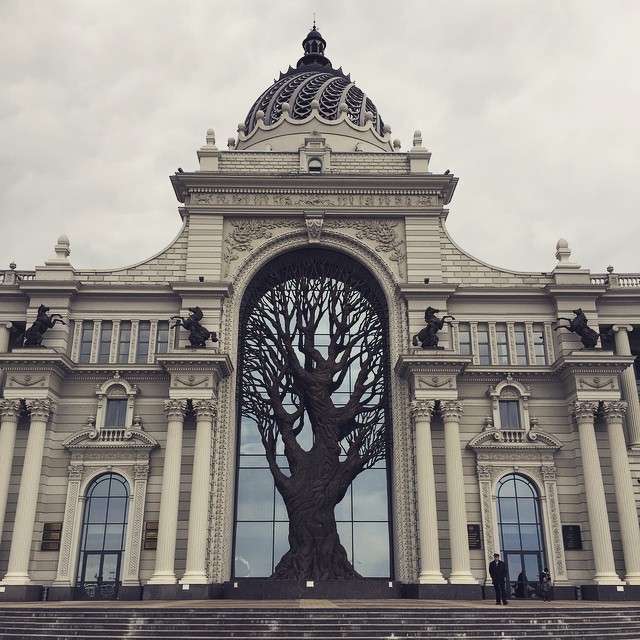 640x640, 123 Kb / казань, дерево