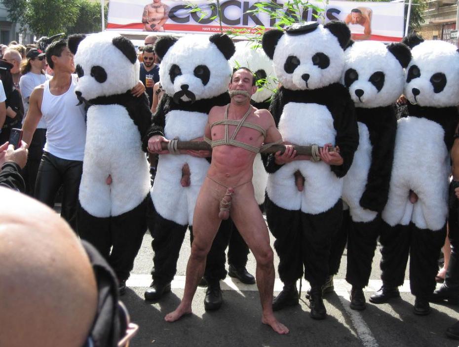 930x703, 93 Kb / панды, бдсм