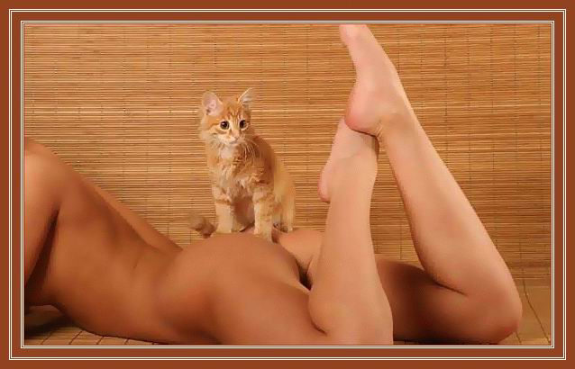 638x410, 47 Kb / Кот, кошка, лежит