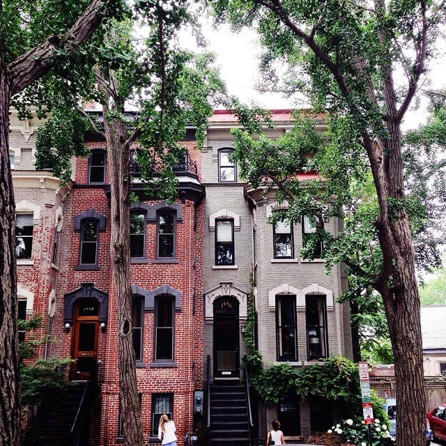 640x640, 230 Kb / дом, деревья, нью-йорк