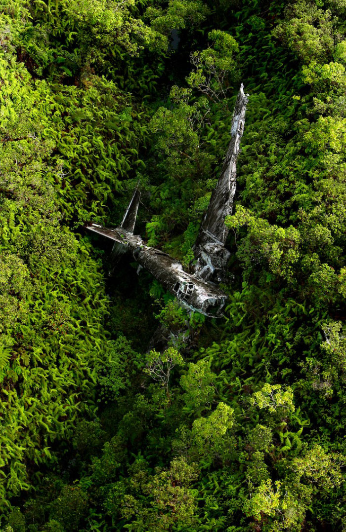 700x1078, 344 Kb / самолёт, джунгли, зелень