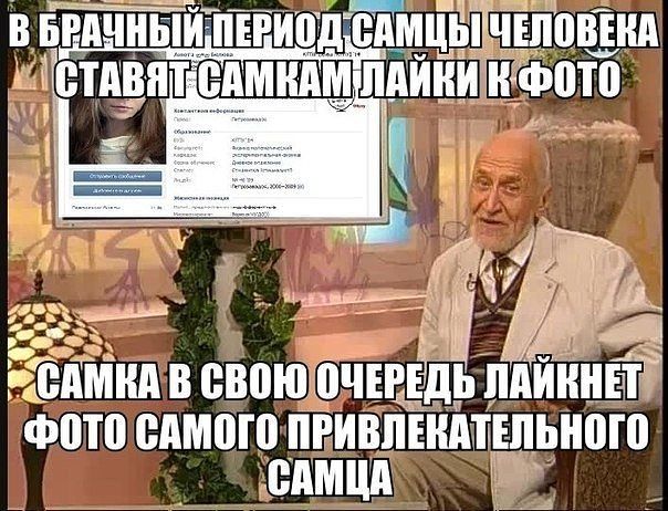604x462, 84 Kb / дроздов, лайк
