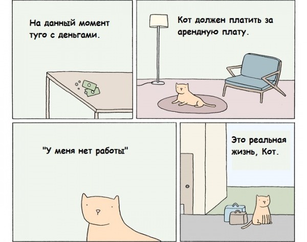 600x474, 57 Kb / деньги, кот, аренда, жизнь