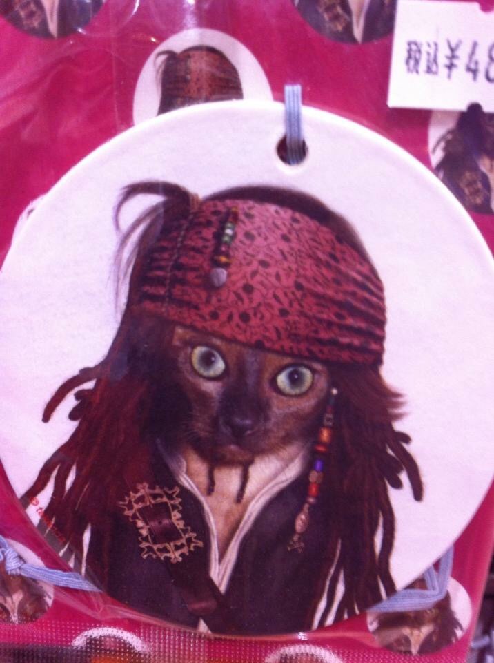 716x960, 98 Kb / кот, кошка, Джек, Воробей, капитан