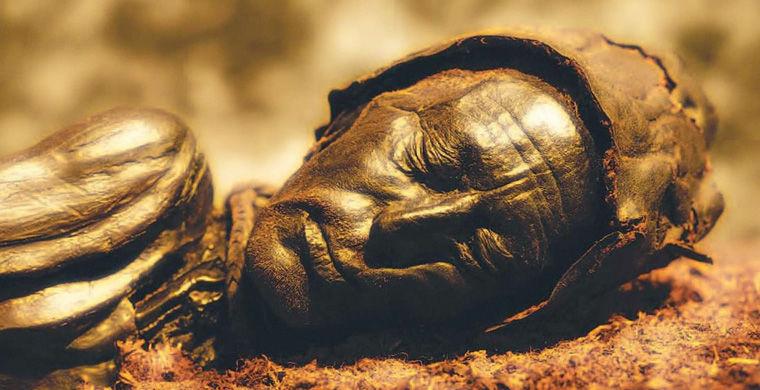 760x390, 54 Kb / мумия, тело