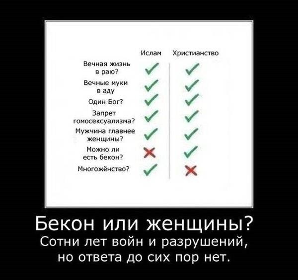 600x564, 44 Kb / ислам, христианство, бекон, женщины