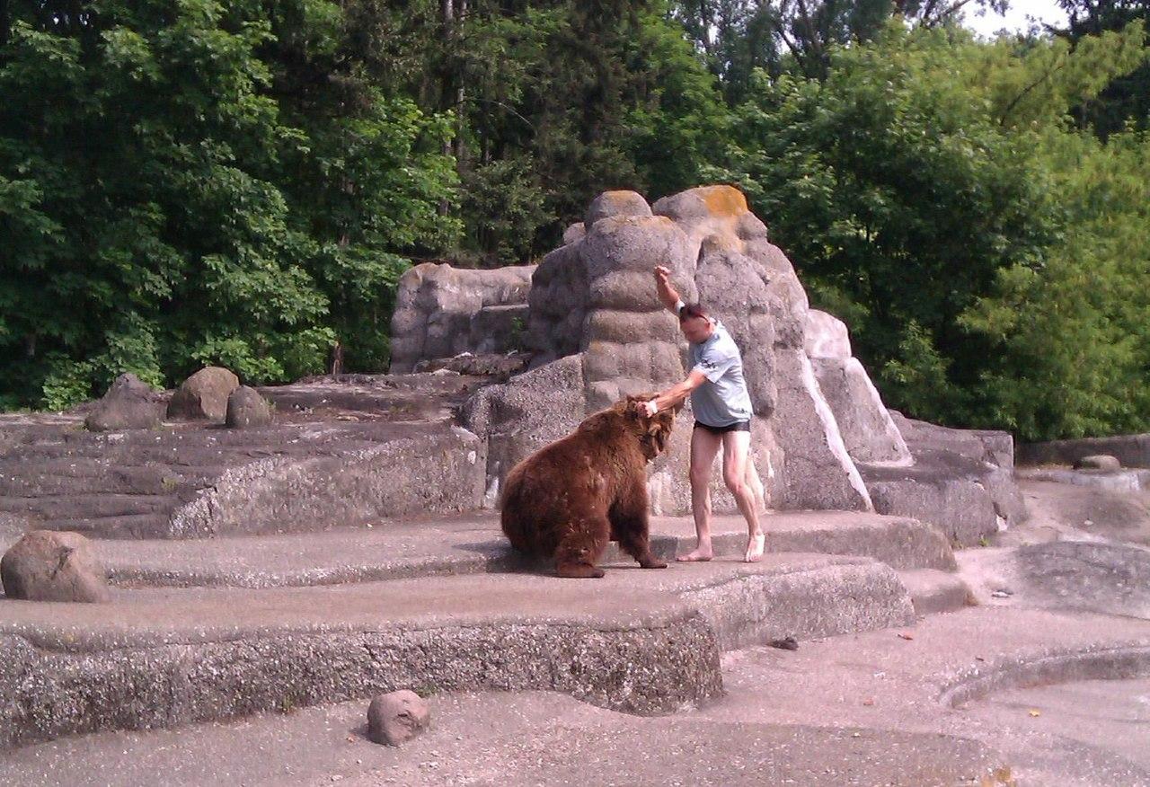 1280x876, 237 Kb / Медведь, драка