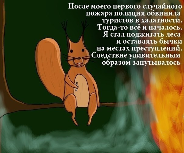 604x504, 59 Kb / белка, пожар, следствие, сигарета