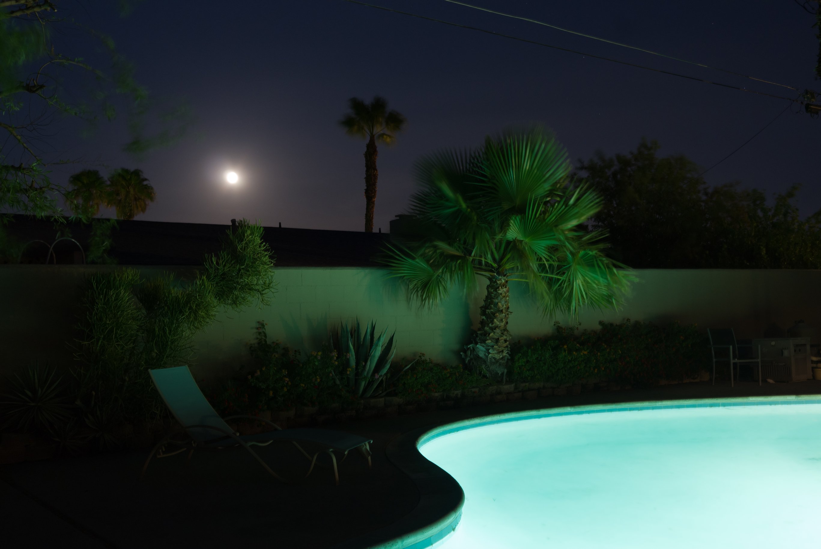 2734x1828, 340 Kb / пальма, бассейн, ночь, лежак, луна
