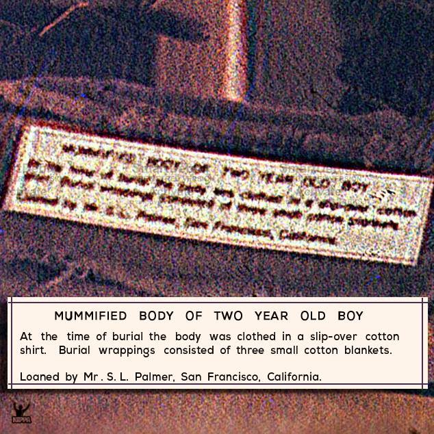 634x634, 120 Kb / инопланетяне