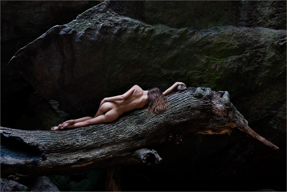 1000x667, 319 Kb / бревно, дерево, голая, попа, волосы