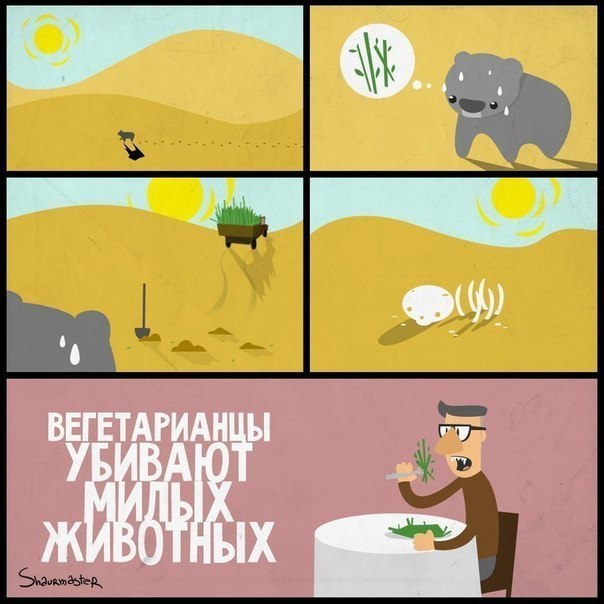 604x604, 60 Kb / вегетарианцы, животные, убийство