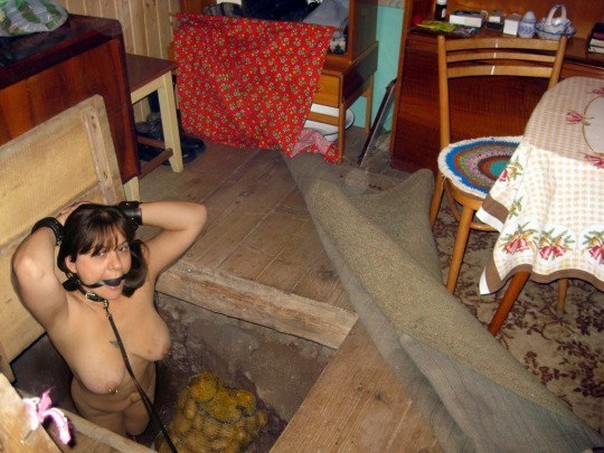 604x453, 86 Kb / картофель, погреб, деревенский, бдсм