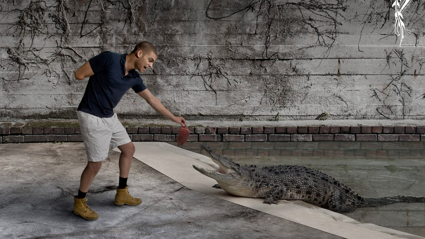 1366x768, 337 Kb / крокодил, инвалид, мясо